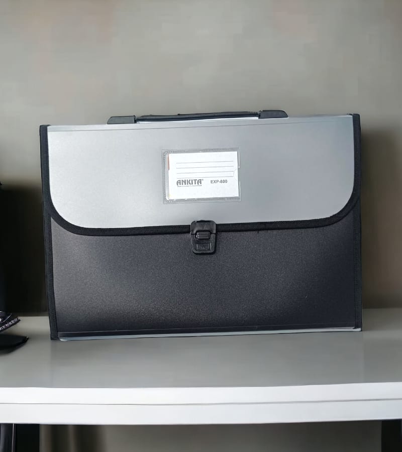 12-Pocket Expanding File Folder with Handle and Buckle Closure - Silver ...