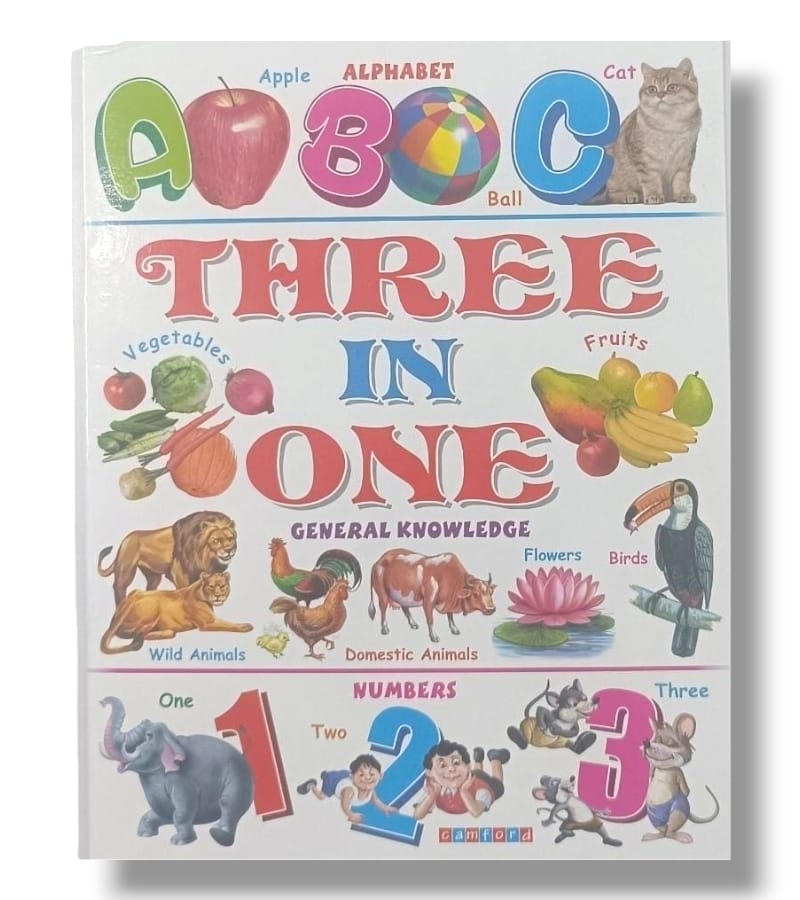 3 In 1 General Knowledge Printed Book | Alphabets, Numbers & General ...
